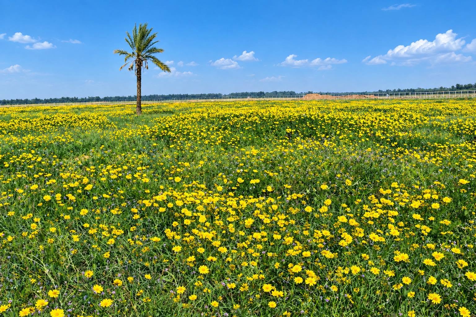 ارشيف بلدة الفخاري